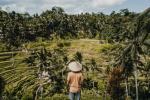 Bali Instagram Full Day Tour Private Or Share
