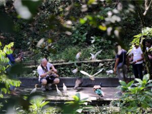 Eco-Friendly Segway Tour In Putrajaya | Malaysia