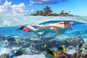 Napaling Reef Snorkeling & Swim With Sardines Experience (Non-Swimmers Friendly!) | Panglao, Philippines