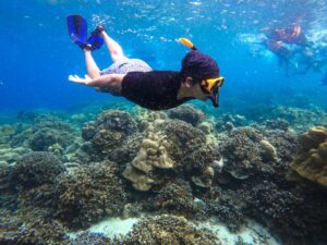 Napaling Reef Snorkeling & Swim With Sardines Experience (Non-Swimmers Friendly!) | Panglao, Philippines