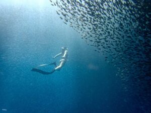 Napaling Reef Snorkeling & Swim With Sardines Experience (Non-Swimmers Friendly!) | Panglao, Philippines