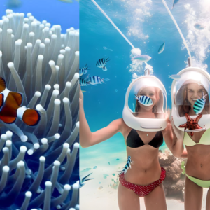 Boracay Aquanaut/Helmet Diving Experience + Crystal Kayak With FREE Photos & Videos | Philippines