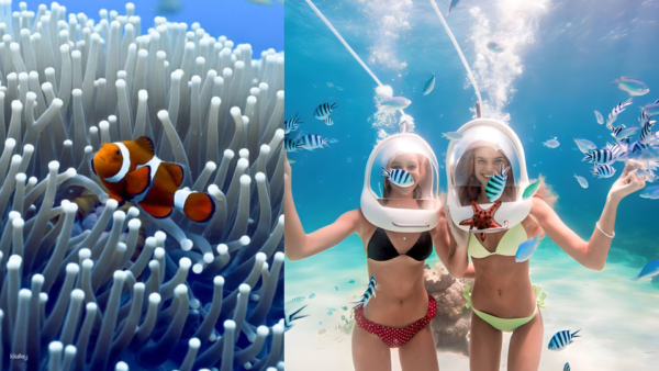 Boracay Aquanaut/Helmet Diving Experience + Crystal Kayak With FREE Photos & Videos | Philippines