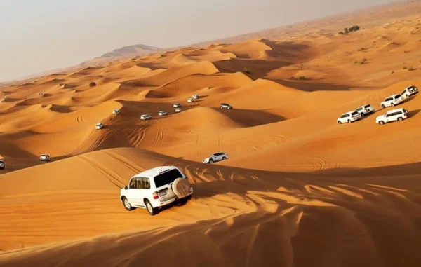 Dubai Desert Safari