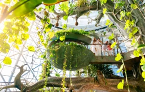 The Green Planet Dubai